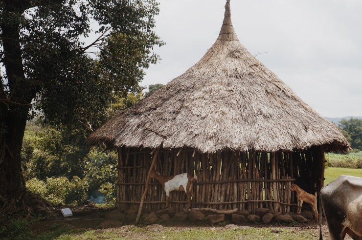 Processed with VSCO with m5 preset