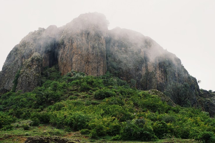 Processed with VSCO with g3 preset