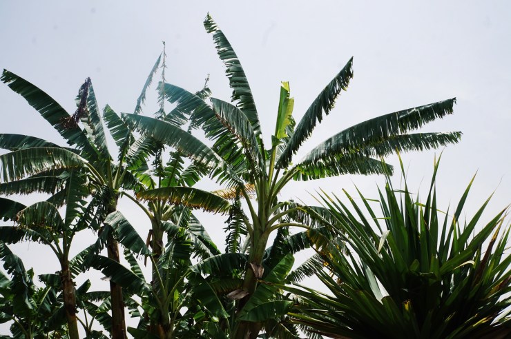 Processed with VSCO with g3 preset