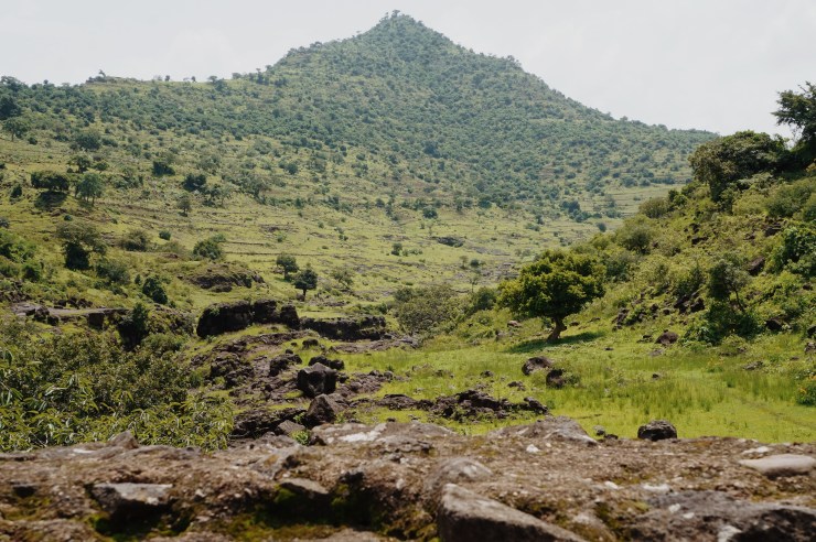 Processed with VSCO with m5 preset