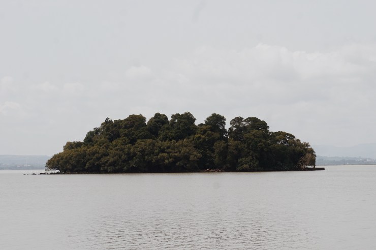 Processed with VSCO with m5 preset